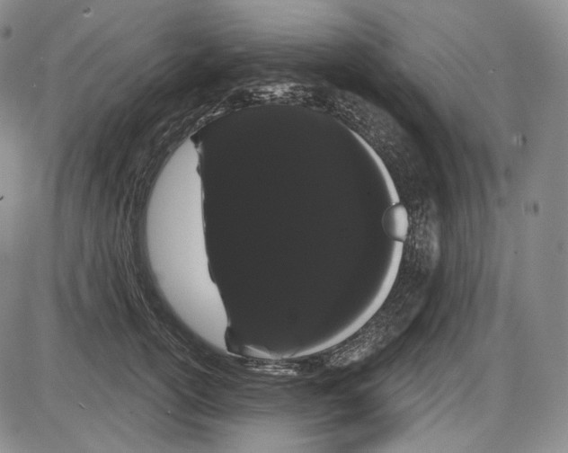 X0000085040754200704021253