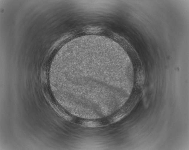 X0000085040755200704021253