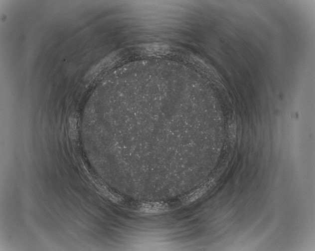 X0000085040757200704021253