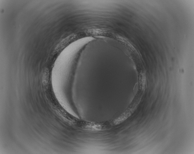X0000085040760200704021253