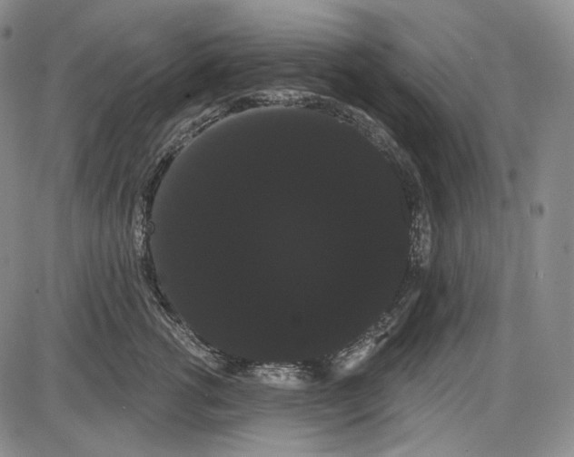 X0000085040762200704021253