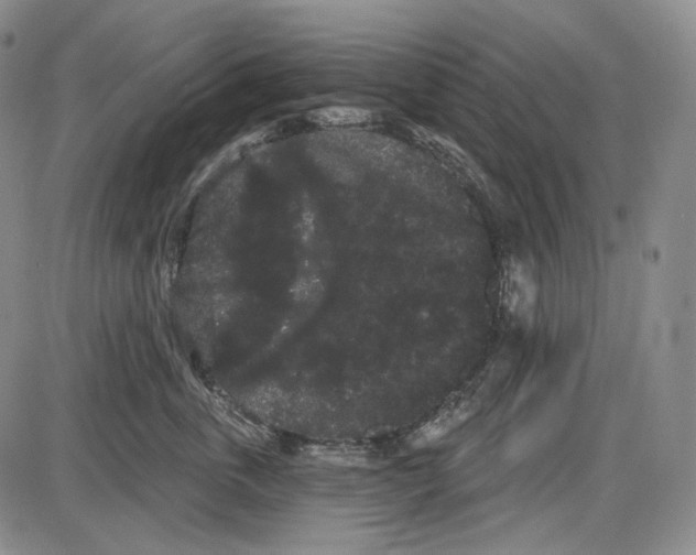 X0000085040763200704021253