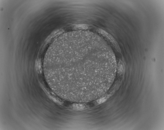 X0000085040764200704021253