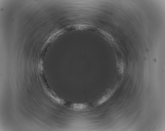 X0000085040766200704021253