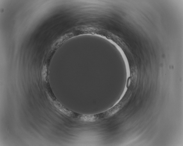 X0000085040767200704021253