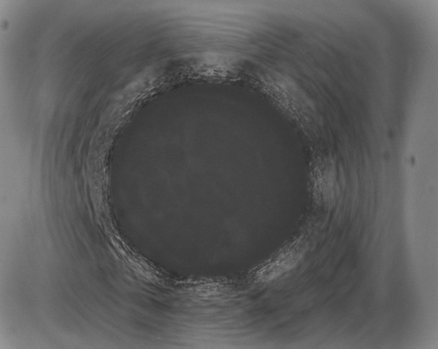 X0000085040769200704021253