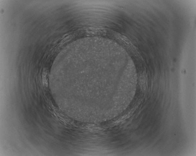 X0000085040770200704021253