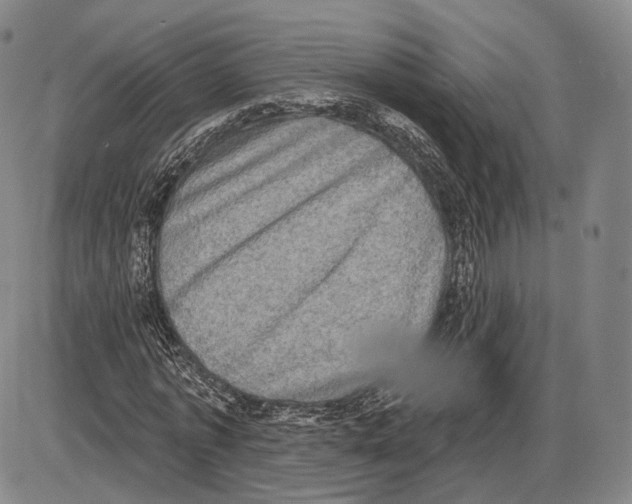 X0000085040773200704021253