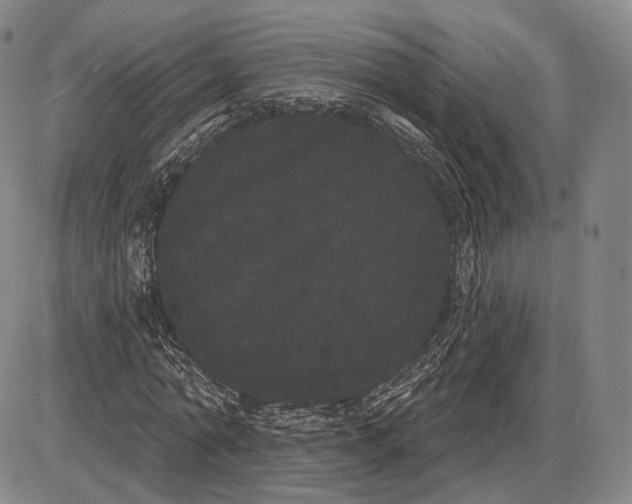 X0000085040774200704021253