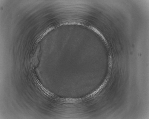 X0000085040777200704021253