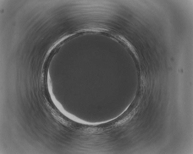 X0000085040779200704021252