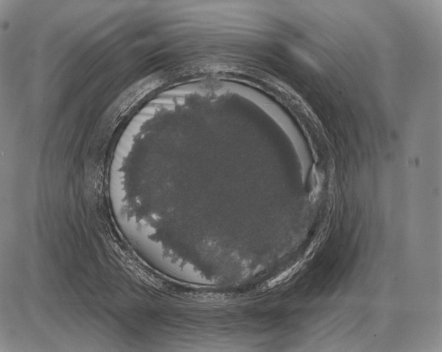 X0000085040785200704021252