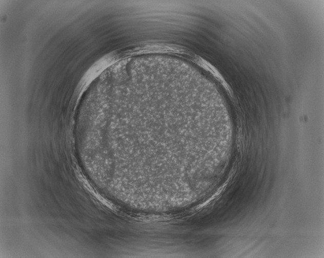 X0000085040786200704021252