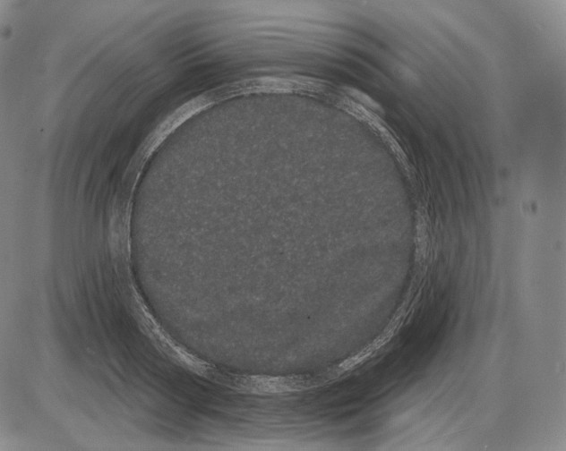 X0000085040794200704021252