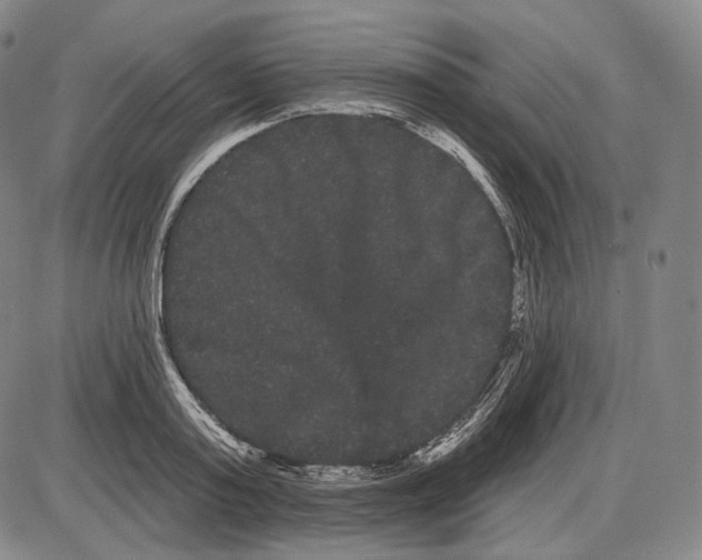 X0000085040795200704021252