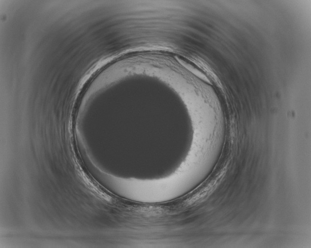 X0000085040797200704021252