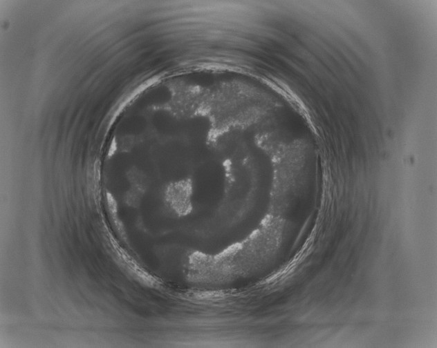X0000085040798200704021252