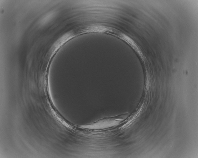 X0000085040802200704021252