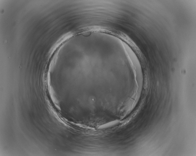 X0000085040806200704021252