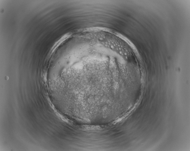 X0000085040809200704021252