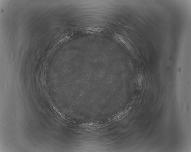 X0000085040817200704021251