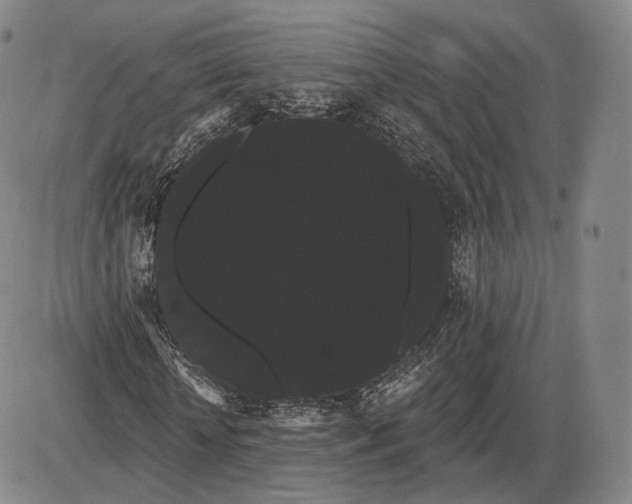 X0000085040818200704021251
