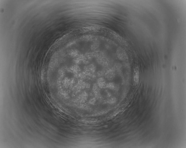 X0000085040819200704021251