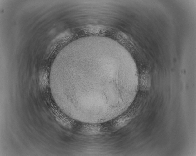 X0000085040820200704021251