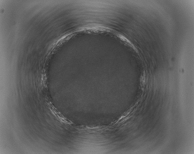 X0000085040822200704021251
