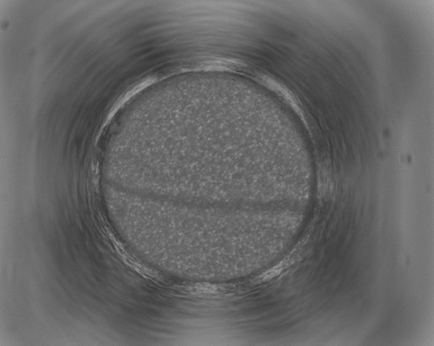 X0000085040827200704021251