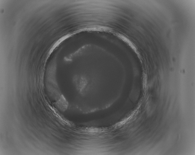 X0000085040829200704021251