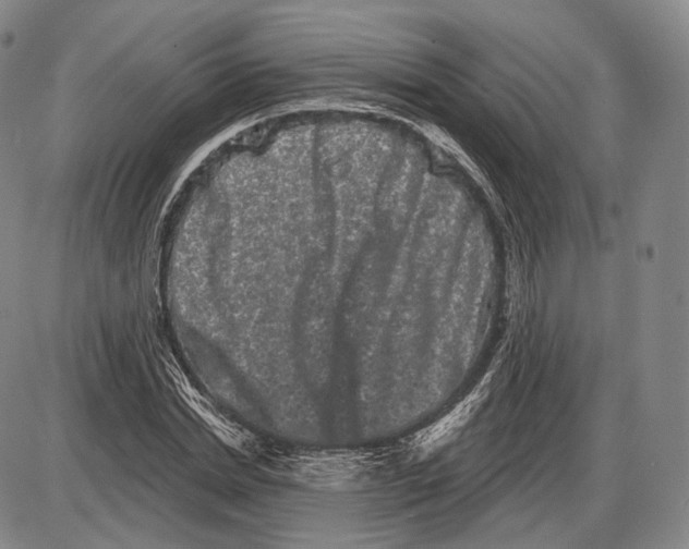 X0000085040830200704021251