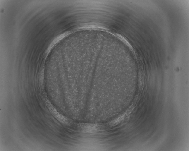 X0000085040831200704021251