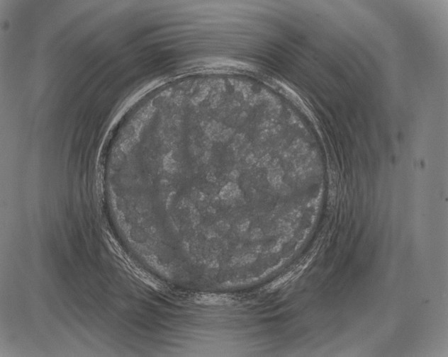 X0000085040835200704021251
