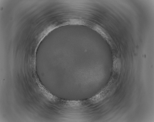 X0000085040836200704021251