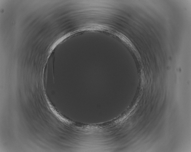 X0000085040842200704021251