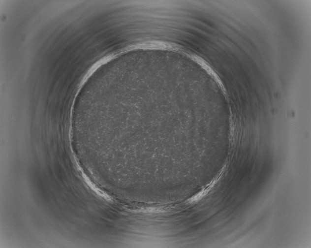 X0000085040845200704021252