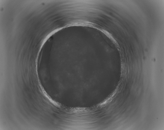 X0000085040846200704021252