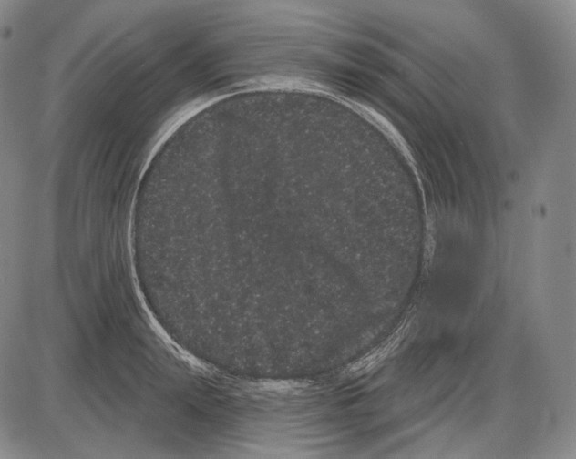 X0000085040847200704021252