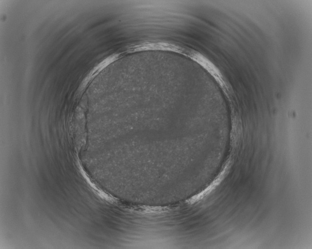 X0000085040849200704021252