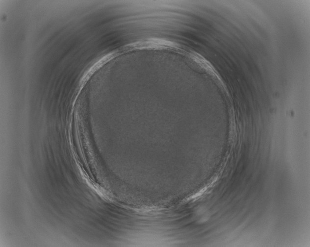 X0000085040850200704021252