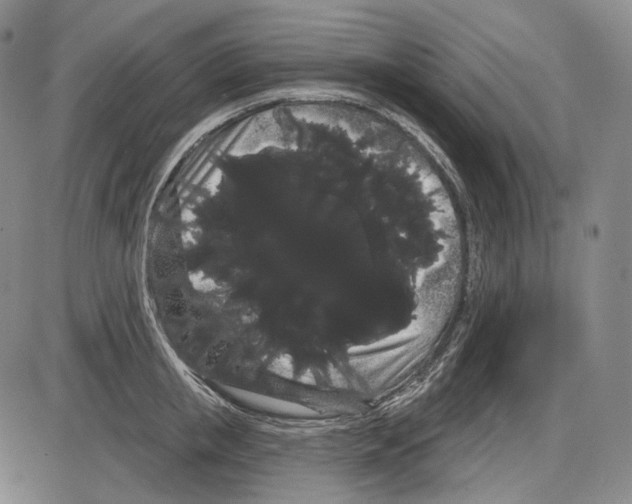 X0000085040853200704021252