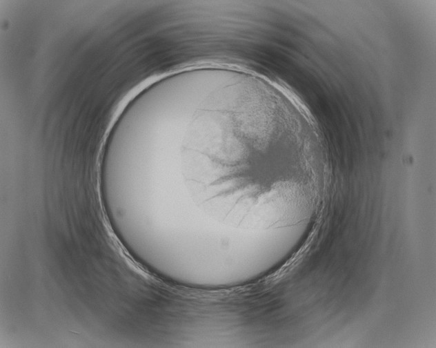 X0000085040854200704021252