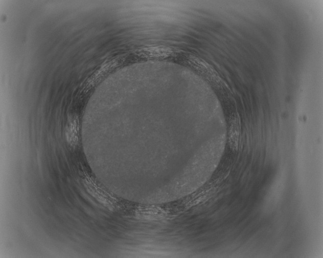 X0000085040866200704021251