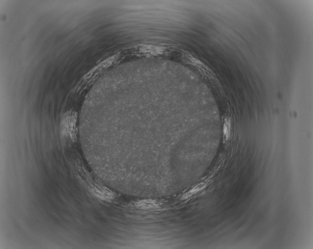 X0000085040867200704021251