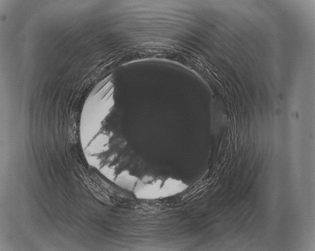 X0000085040868200704021251