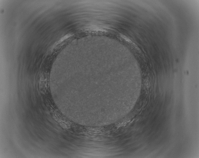 X0000085040870200704021251