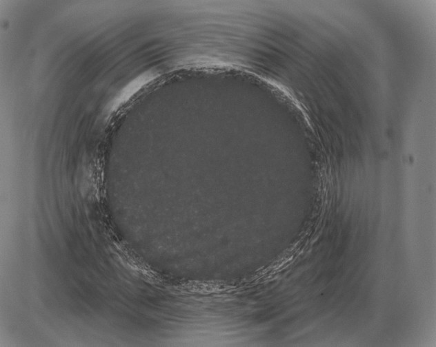 X0000085040871200704021251
