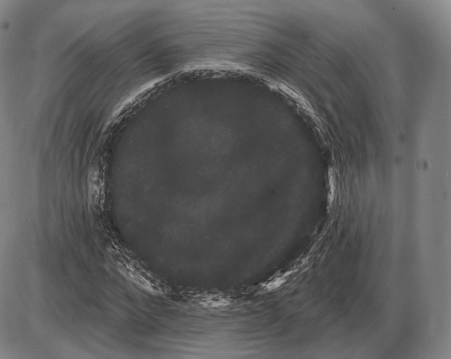 X0000085040872200704021251