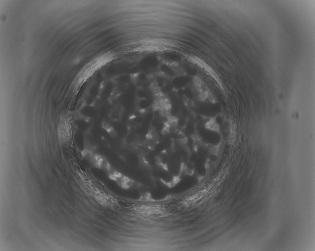 X0000085040874200704021251